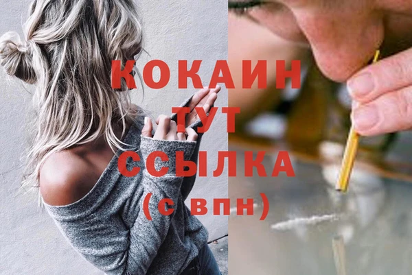 МДПВ Волосово
