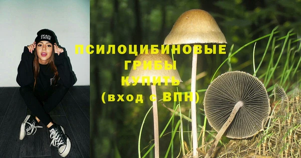 тгк Володарск