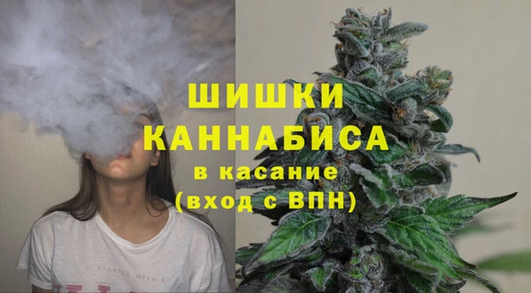тгк Володарск