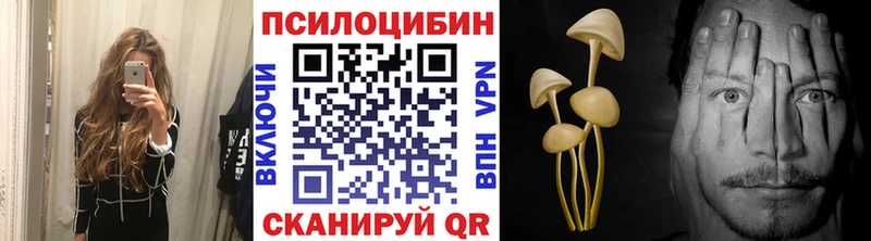 Купить где Клин Галлюциногенные грибы Psilocybine cubensis